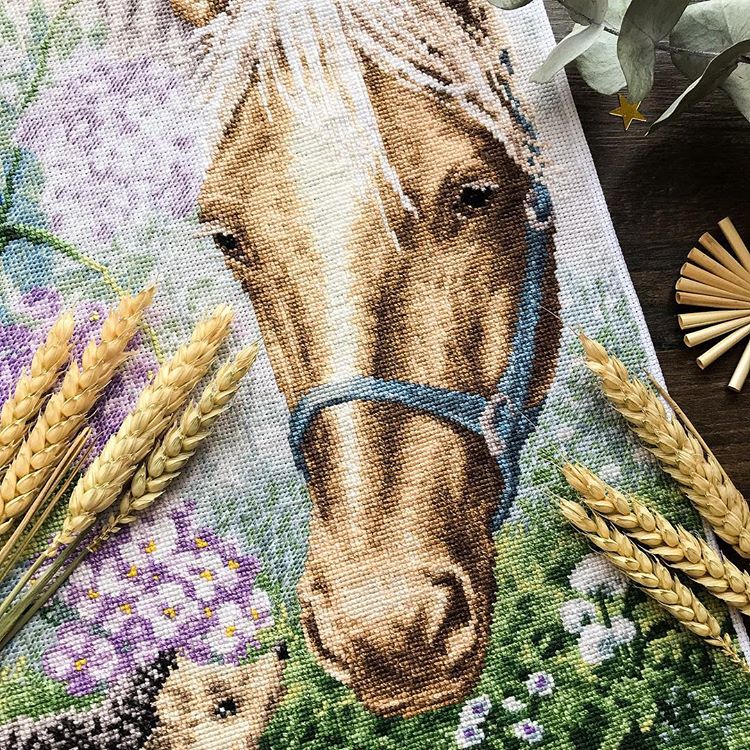 Изображение к отзыву Леська(@lady.olevetti)